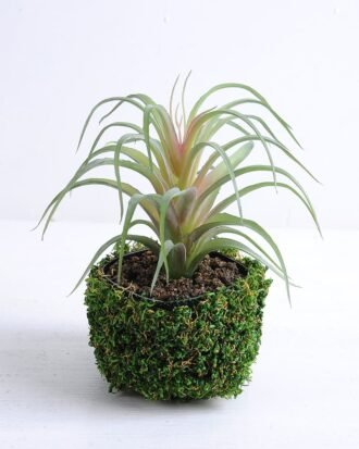 Artificial succulent 17*19*16cm Succulent in plastic pot GS-30319126