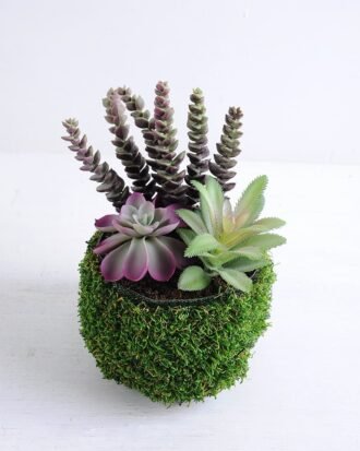 Artificial succulent 16*13*21cm Succulent in plastic pot GS-30319135