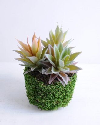 Artificial succulent 19*20*22cm Succulent in plastic pot GS-30319136