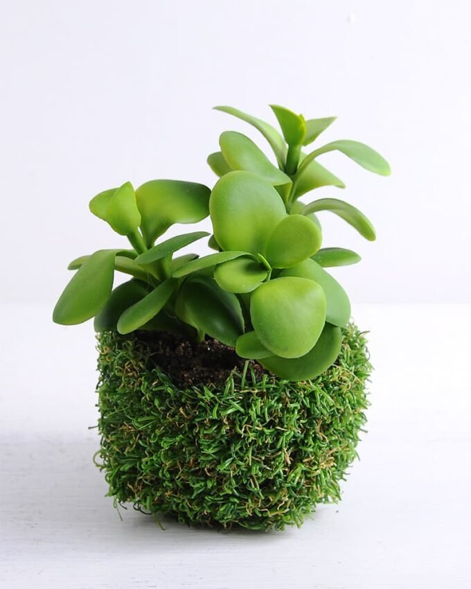 Artificial succulent 17*19*16cm Succulent in plastic pot GS-30319154