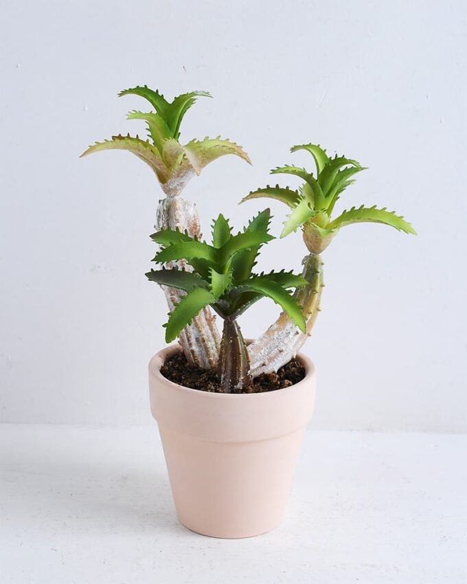 Artificial succulent 16*13*21cm Succulent in terrecotta pot GS-30319130