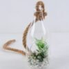 Artificial succulent 8*8*20 Artificial succulent 8*8*20.5CM Succulent plants in glass pot GS-51719034