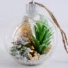 Artificial succulent 10*10*10CM Succulent plants in glass pot GS-51719036
