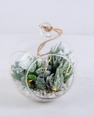 Artificial succulent 12*12*13CM Succulent plants in glass pot GS-51719037