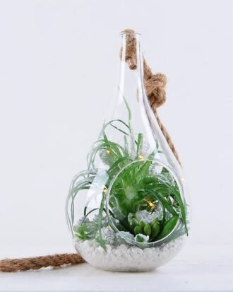 Artificial succulent 12*12*22CM Succulent plants in glass pot GS-51719039