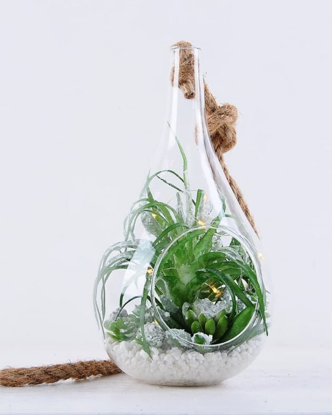 Artificial succulent 12*12*22CM Succulent plants in glass pot GS-51719039