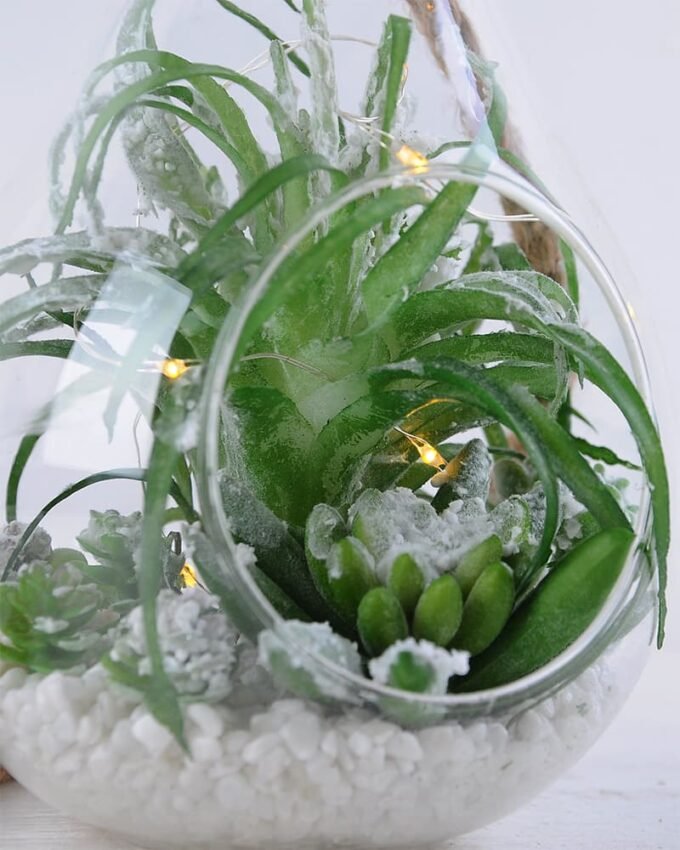 Artificial succulent 12*12*22CM Succulent plants in glass pot GS-51719039
