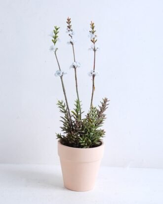 Artificial succulent 8*8.5*30cm Wild flowers in terrecotta pot GS-30319128