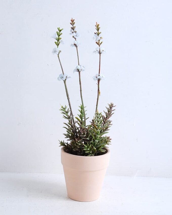 Artificial succulent 8*8 Artificial succulent 8*8.5*30cm Wild flowers in terrecotta pot GS-30319128