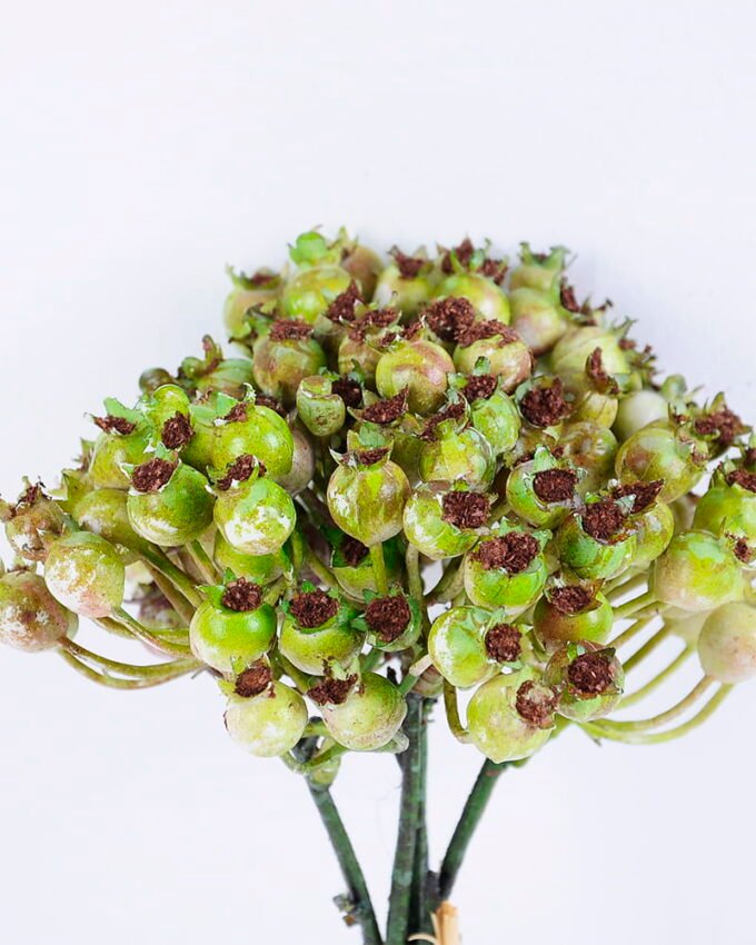 Artificial Branch fruit 13*31CM Berry Bouquet*5 GS-57720011-G2