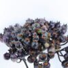 Artificial Branch fruit 13*31CM Berry Bouquet*5 GS-57720011-H1