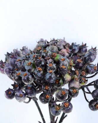 Artificial Branch fruit 13*31CM Berry Bouquet*5 GS-57720011-H1 Bouquet YeahFlower is one of Chinese leading OEM manufacturers and exporters , supplying the silk flowers, wholesale artificial trees Artificial Branch fruit 13*31CM Berry Bouquet*5 GS-57720011-H1