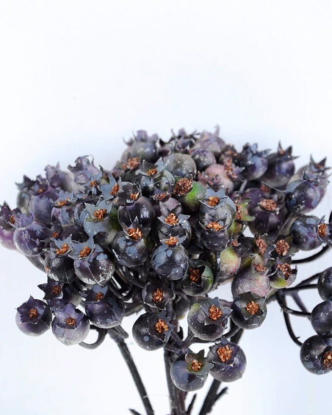 Artificial Branch fruit 13*31CM Berry Bouquet*5 GS-57720011-H1