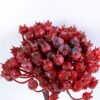 Artificial Branch fruit 13*31CM Berry Bouquet*5 GS-57720011-R1