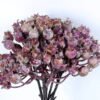 Artificial Branch fruit 13*31CM Berry Bouquet*5 GS-57720011-Z1