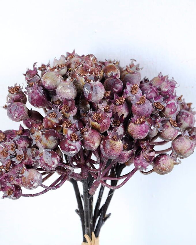 Artificial Branch fruit 13*31CM Berry Bouquet*5 GS-57720011-Z1