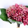 Artificial Branch fruit 19*27CM Berry Bouquet*5 GS-57720012-R1