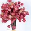 Artificial Branch fruit 11*28CM Berry Bouquet*5 GS-57720013-R2 2 Artificial Branch fruit 11*28CM Berry Bouquet*5 GS-57720013-R2