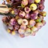 Artificial Branch fruit 14*25CM Berry Bouquet*5 GS-57720014-K1