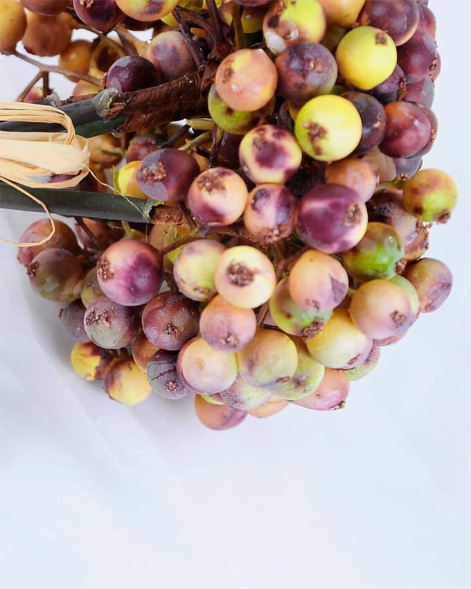 Artificial Branch fruit 14*25CM Berry Bouquet*5 GS-57720014-K1