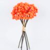 Artificial Branch fruit 14*25CM Berry Bouquet*5 GS-57720014-O1 1 Artificial Branch fruit 14*25CM Berry Bouquet*5 GS-57720014-O1
