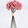 Artificial Branch fruit 14*25CM Berry Bouquet*5 GS-57720014-P1