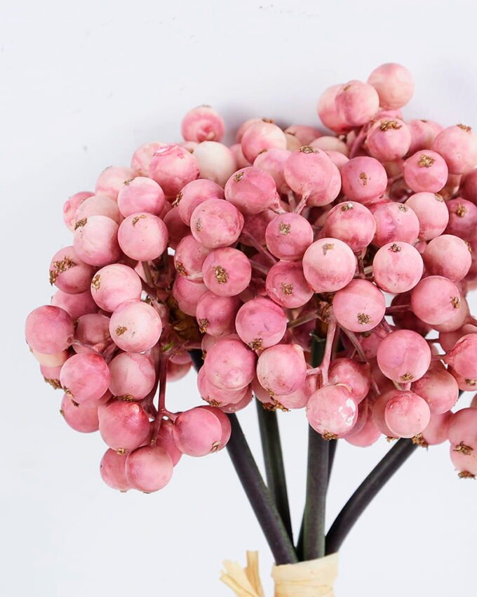 Artificial Branch fruit 14*25CM Berry Bouquet*5 GS-57720014-P1