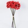 Artificial Branch fruit 14*25CM Berry Bouquet*5 GS-57720014-R1 1 Artificial Branch fruit 14*25CM Berry Bouquet*5 GS-57720014-R1