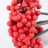 Artificial Branch fruit 14*25CM Berry Bouquet*5 GS-57720014-R1 2 Artificial Branch fruit 14*25CM Berry Bouquet*5 GS-57720014-R1