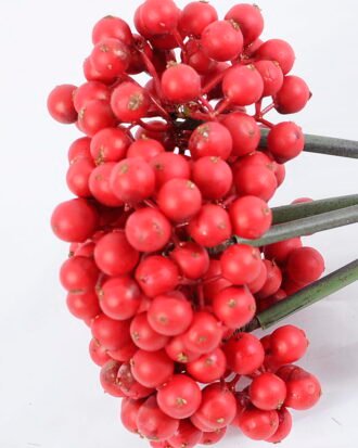 Artificial Branch fruit 14*25CM Berry Bouquet*5 GS-57720014-R1