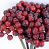 Artificial Branch fruit 14*25CM Berry Bouquet*5 GS-57720014-R2 2 Artificial Branch fruit 14*25CM Berry Bouquet*5 GS-57720014-R2