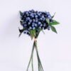 Artificial Branch fruit 15*28CM Berry Bouquet*5 GS-59020025-B1