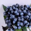 Artificial Branch fruit 15*28CM Berry Bouquet*5 GS-59020025-B1