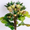 Artificial Branch fruit 14*40CM Chinese Rose Fruits Bouquet*3 GS-59020021