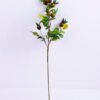 Artificial Branch fruit 16*59CM Chinese Rose Fruits Spray GS-59020026