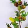 Artificial Branch fruit 16*59CM Chinese Rose Fruits Spray GS-59020026
