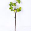 Artificial Branch fruit 14*45CM Fruits GS-57720010 2 Artificial Branch fruit 14*45CM Fruits GS-57720010