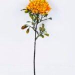 Artificial Branch fruit 10*33CM Fruits GS-57720015-O1