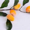 Artificial Branch fruit 29*53CM Mango Spary GS-59020018