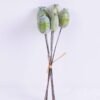 Artificial Branch fruit 10*26CM Poppy Bush*6 GS-59020011-G1 1 Artificial Branch fruit 10*26CM Poppy Bush*6 GS-59020011-G1