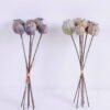 Artificial Branch fruit 11*25CM Poppy Bush*6 GS-59020012