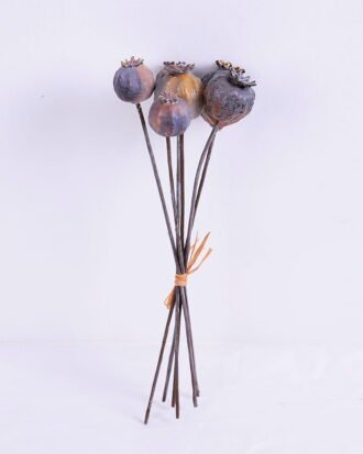 Artificial Branch fruit 11*25CM Poppy Bush*6 GS-59020012 Bouquet YeahFlower is one of Chinese leading OEM manufacturers and exporters , supplying the silk flowers, wholesale artificial trees Artificial Branch fruit 11*25CM Poppy Bush*6 GS-59020012