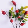 Artificial Branch fruit 16*55CM Rose Hip GS-59020027