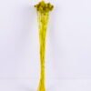 Artificial Flower 13*70CM ALLIUM FISTULOSUM 60g GS-56619059