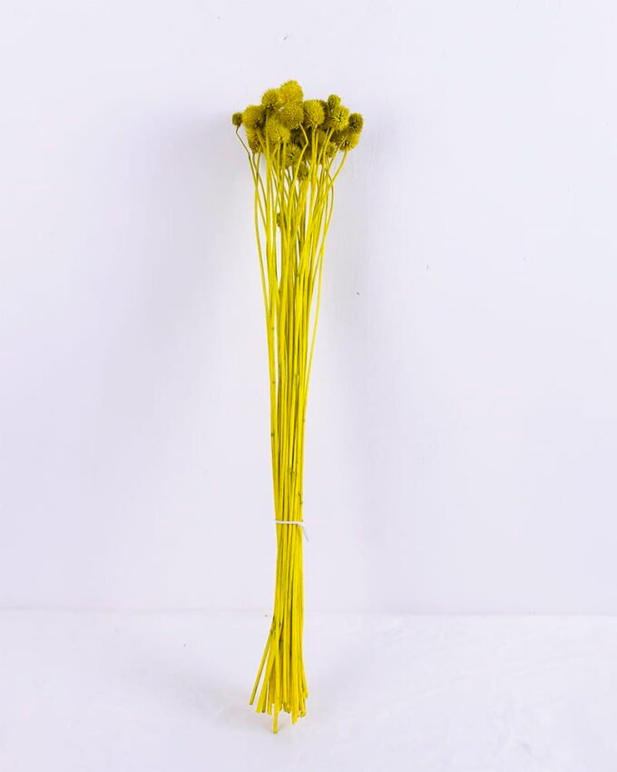 Artificial Flower 13*70CM ALLIUM FISTULOSUM 60g GS-56619059