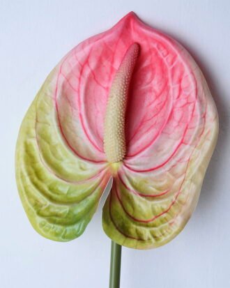 Artificial Flower 12*67CM ANTHURIUM GS-52120001-P2 Single Flowers YeahFlower is one of Chinese leading OEM manufacturers and exporters , supplying the silk flowers, wholesale artificial trees Artificial Flower 12*67CM ANTHURIUM GS-52120001-P2