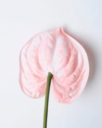 Artificial Flower 12*67CM ANTHURIUM GS-52120001-P3 Single Flowers YeahFlower is one of Chinese leading OEM manufacturers and exporters , supplying the silk flowers, wholesale artificial trees Artificial Flower 12*67CM ANTHURIUM GS-52120001-P3
