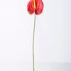Artificial Flower 12*67CM ANTHURIUM GS-52120001-R1 1 Artificial Flower 12*67CM ANTHURIUM GS-52120001-R1