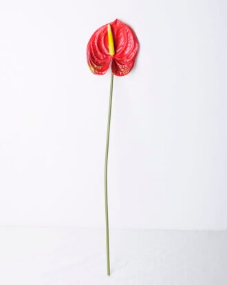Artificial Flower 12*67CM ANTHURIUM GS-52120001-R1