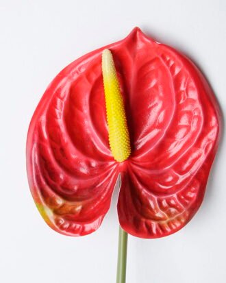 Artificial Flower 12*67CM ANTHURIUM GS-52120001-R1
